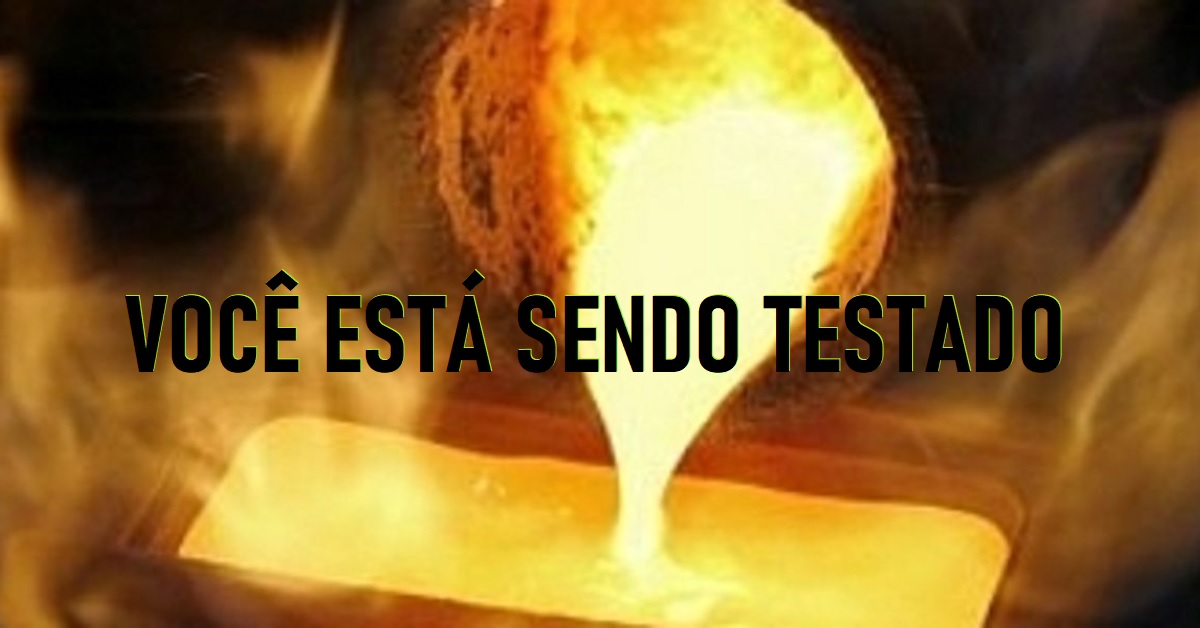 Você Está Sendo Testado - Glynda Lomax