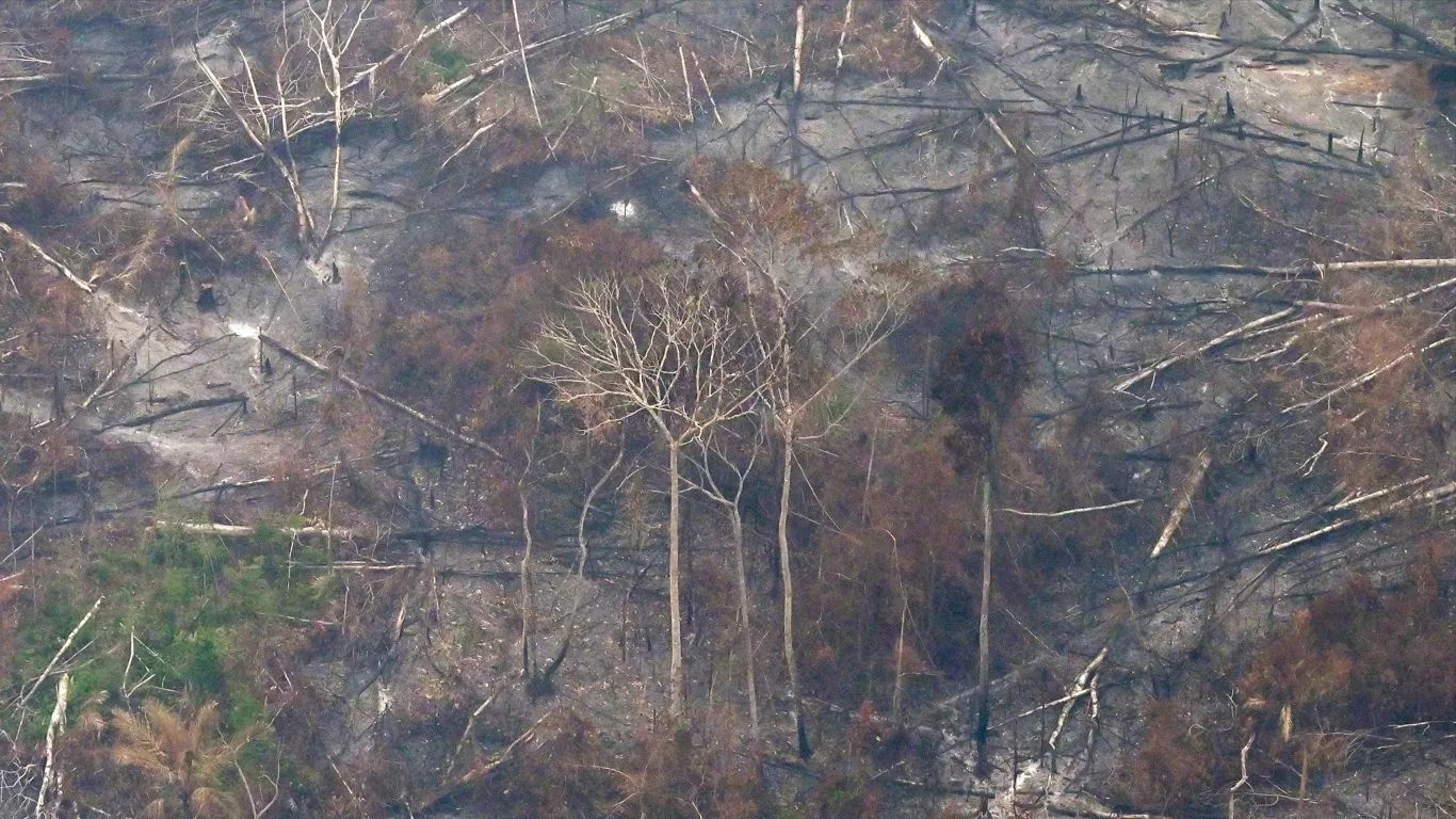 Imagens mostram destruição na Amazônia nos últimos dias