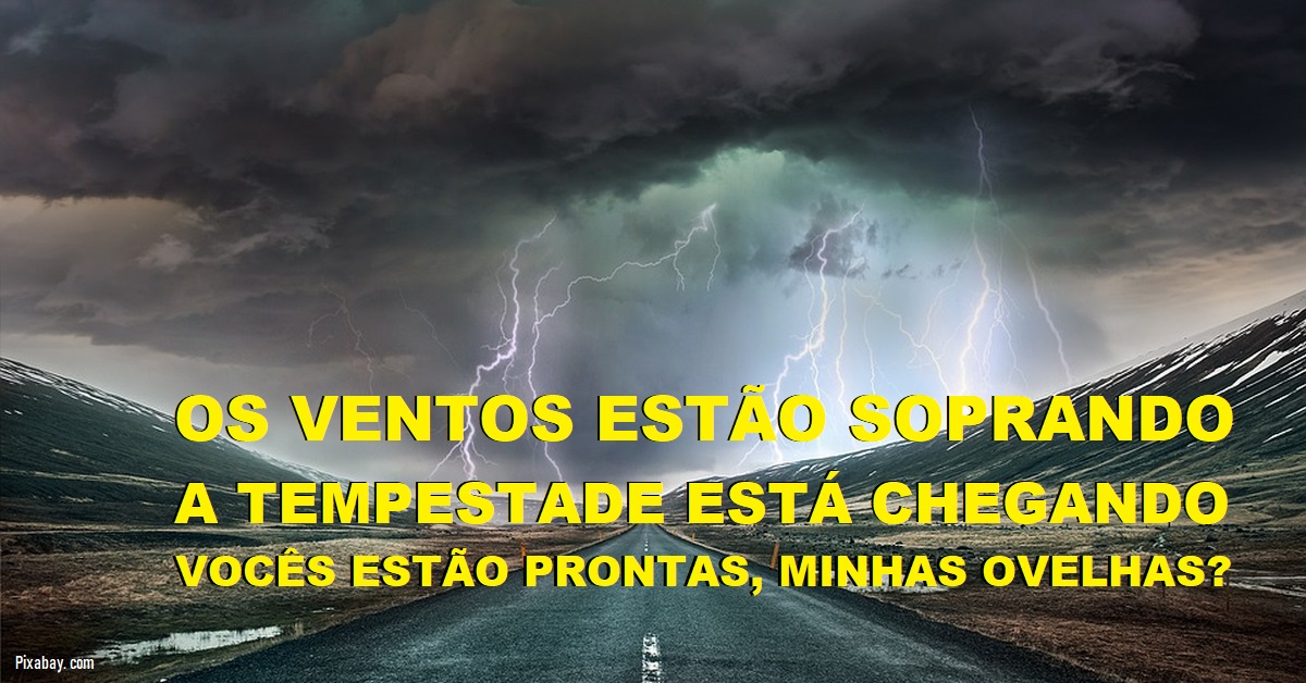 Ai daqueles que estão batendo nas Minhas ovelhas! - Abril Denise Stefko