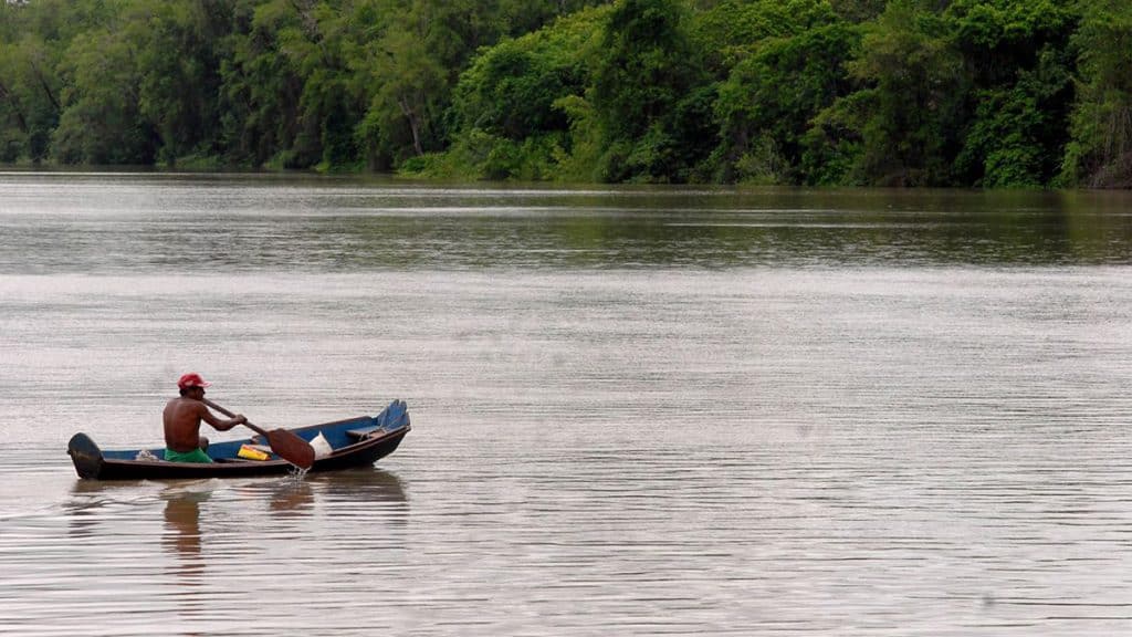 Amazonia 1024x576