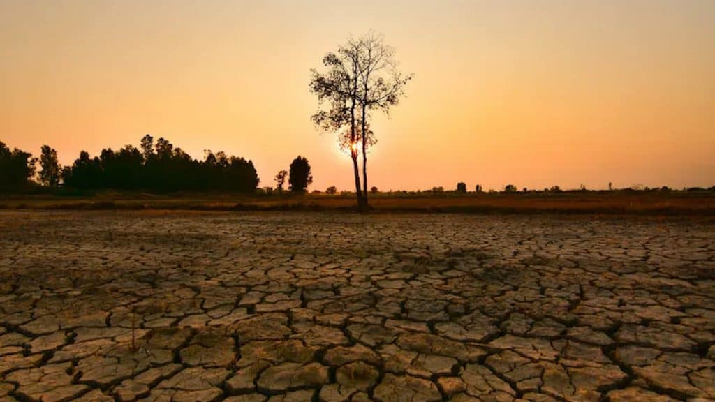 Seca causada pelo El Nino Foto Khenyothaa Shutterstock