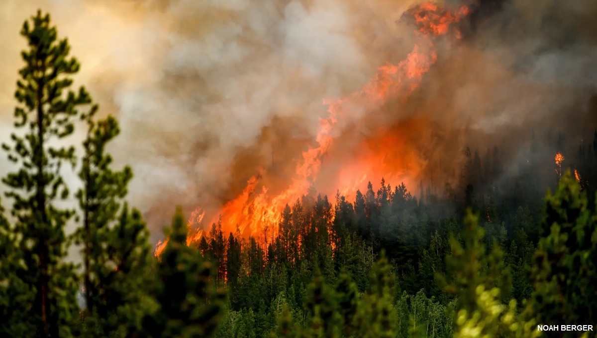 Incêndios florestais estão aquecendo o planeta mais do que o imaginado