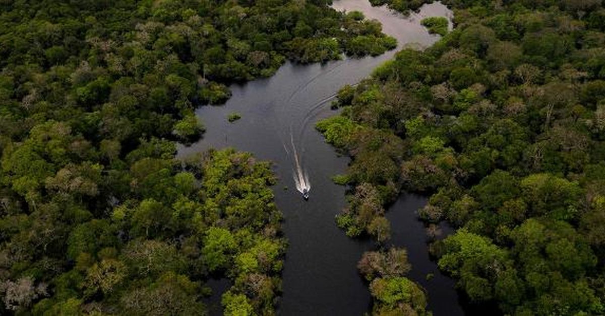 Governos reconhecem que Amazônia está próxima de ponto sem retorno