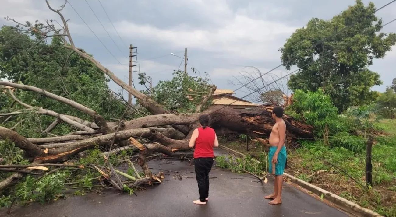 Temporais causam morte e estragos no interior de São Paulo