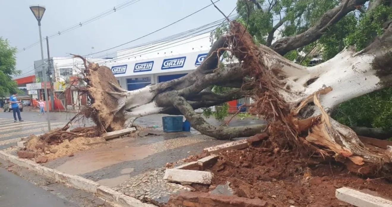 Violentos temporais espalham destruição no Centro-Oeste