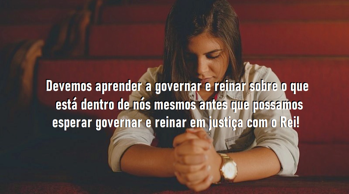 Perfeito para governar - Victoria Ann