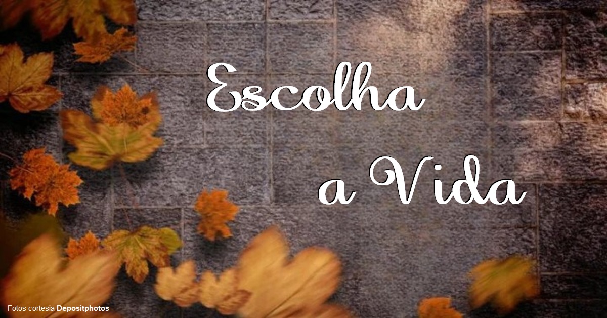 A ESCURIDÃO CAIRÁ: ESCOLHA A VIDA - Abby K