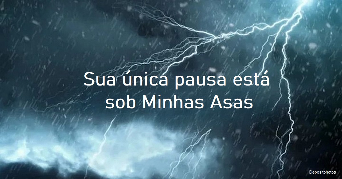 A hora da destruição está próxima - Tracy Lee King