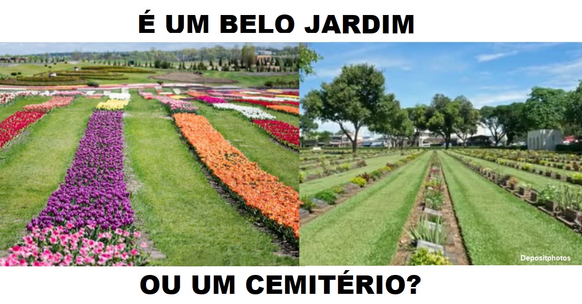 Como é o jardim do seu coração? - Filha de YHWH