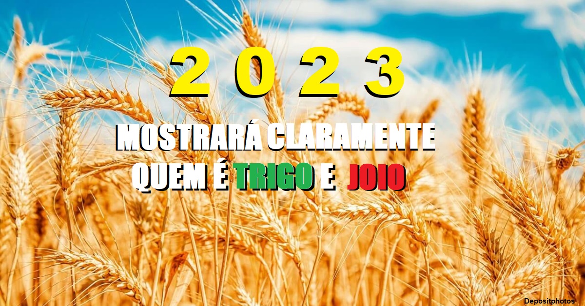 2023: MUDANÇAS, UMA NOVA ERA (Segunda Parte) - Abby K