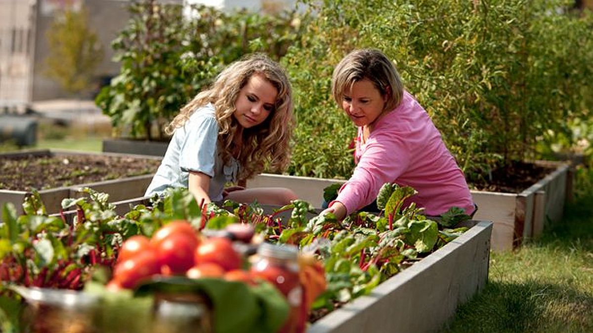 Proteja-se contra a escassez de alimentos com estas práticas úteis de preparação