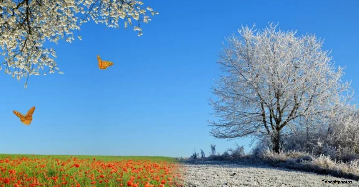 MENSAGEM PROFÉTICA: O inverno está chegando como nos DIAS DE NÁRNIA - Elizabeth Marie